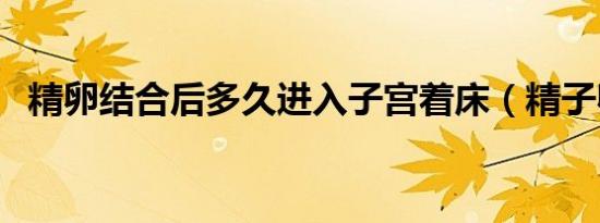精卵结合后多久进入子宫着床（精子卵子）