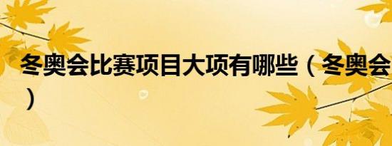 冬奥会比赛项目大项有哪些（冬奥会比赛项目）