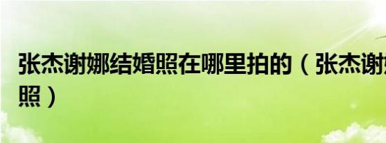 张杰谢娜结婚照在哪里拍的（张杰谢娜的结婚照）