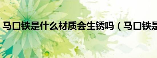 马口铁是什么材质会生锈吗（马口铁是什么）