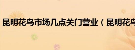 昆明花鸟市场几点关门营业（昆明花鸟市场）