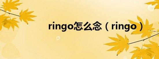 ringo怎么念（ringo）