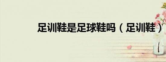 足训鞋是足球鞋吗（足训鞋）