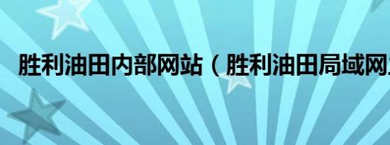 胜利油田内部网站（胜利油田局域网主页）