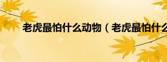 老虎最怕什么动物（老虎最怕什么）