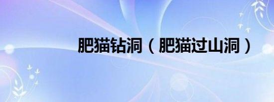 肥猫钻洞（肥猫过山洞）