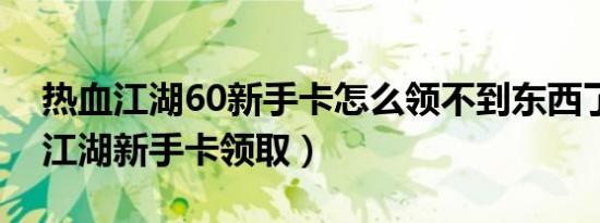 热血江湖60新手卡怎么领不到东西了（热血江湖新手卡领取）