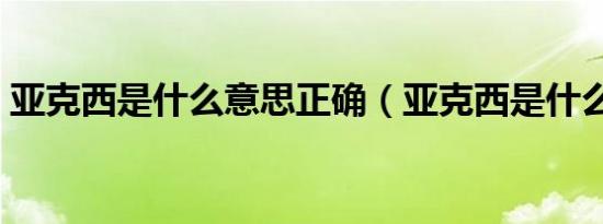 亚克西是什么意思正确（亚克西是什么意思）
