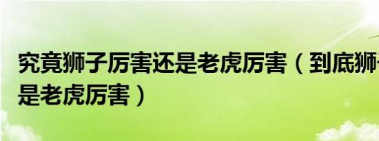 究竟狮子厉害还是老虎厉害（到底狮子厉害还是老虎厉害）