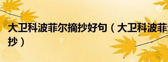 大卫科波菲尔摘抄好句（大卫科波菲尔好段摘抄）