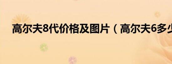高尔夫8代价格及图片（高尔夫6多少钱）