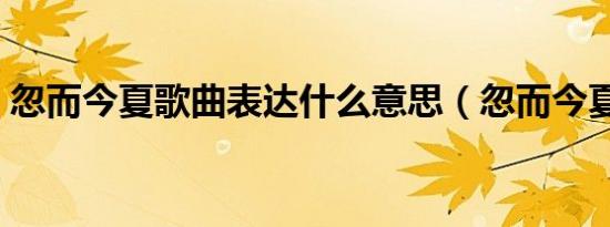 忽而今夏歌曲表达什么意思（忽而今夏歌曲）