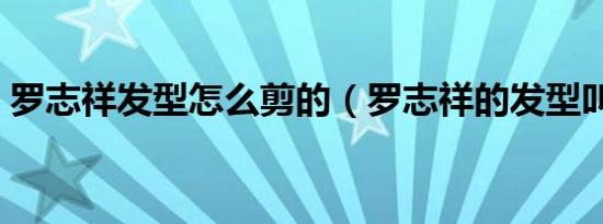 罗志祥发型怎么剪的（罗志祥的发型叫什么）