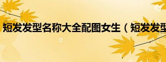 短发发型名称大全配图女生（短发发型名称）