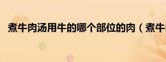 煮牛肉汤用牛的哪个部位的肉（煮牛肉汤）