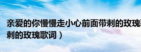 亲爱的你慢慢走小心前面带刺的玫瑰歌词（带刺的玫瑰歌词）