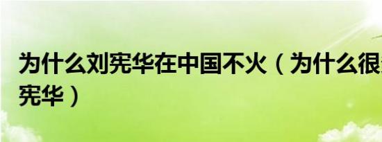 为什么刘宪华在中国不火（为什么很多人骂刘宪华）