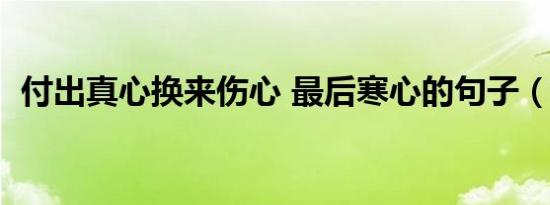 付出真心换来伤心 最后寒心的句子（付出）