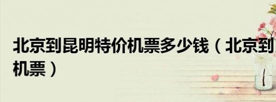 北京到昆明特价机票多少钱（北京到昆明特价机票）
