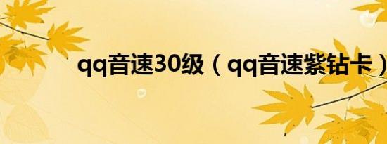 qq音速30级（qq音速紫钻卡）