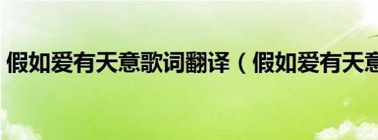假如爱有天意歌词翻译（假如爱有天意歌词）