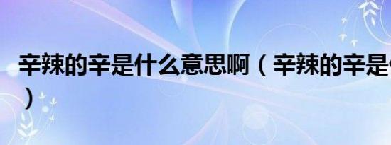 辛辣的辛是什么意思啊（辛辣的辛是什么意思）