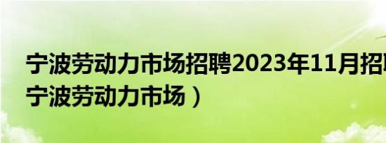 宁波劳动力市场招聘2023年11月招聘信息（宁波劳动力市场）