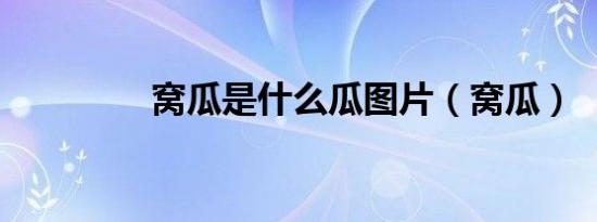 窝瓜是什么瓜图片（窝瓜）