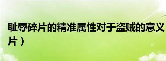 耻辱碎片的精准属性对于盗贼的意义（耻辱碎片）