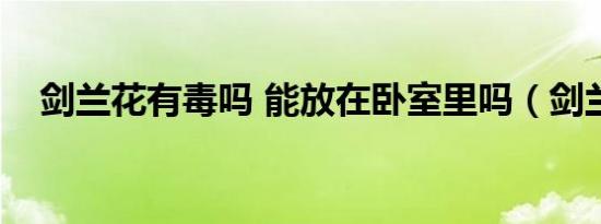 剑兰花有毒吗 能放在卧室里吗（剑兰花）