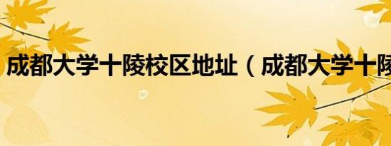 成都大学十陵校区地址（成都大学十陵校区）