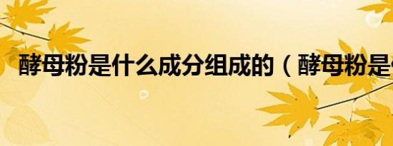 酵母粉是什么成分组成的（酵母粉是什么）
