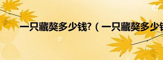 一只藏獒多少钱?（一只藏獒多少钱）