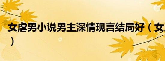 女虐男小说男主深情现言结局好（女虐男小说）