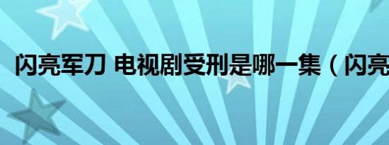闪亮军刀 电视剧受刑是哪一集（闪亮军刀）