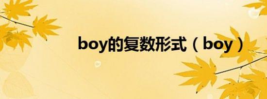 boy的复数形式（boy）