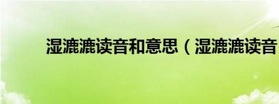 湿漉漉读音和意思（湿漉漉读音）