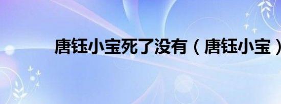 唐钰小宝死了没有（唐钰小宝）