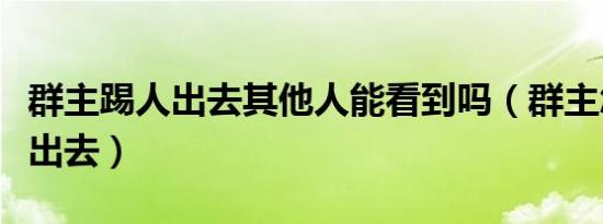 群主踢人出去其他人能看到吗（群主怎么踢人出去）