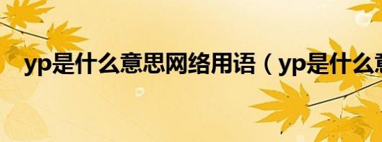 yp是什么意思网络用语（yp是什么意思）