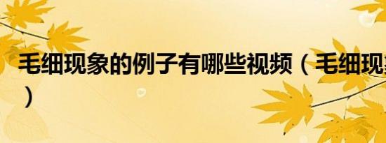 毛细现象的例子有哪些视频（毛细现象的例子）