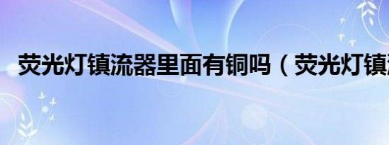 荧光灯镇流器里面有铜吗（荧光灯镇流器）