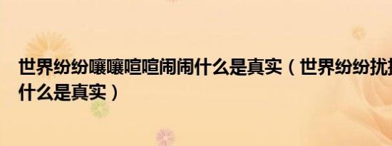 世界纷纷嚷嚷喧喧闹闹什么是真实（世界纷纷扰扰喧喧闹闹什么是真实）