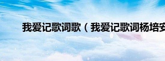 我爱记歌词歌（我爱记歌词杨培安）