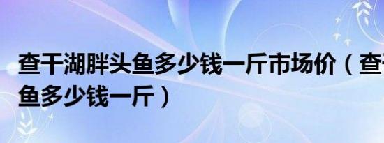查干湖胖头鱼多少钱一斤市场价（查干湖胖头鱼多少钱一斤）