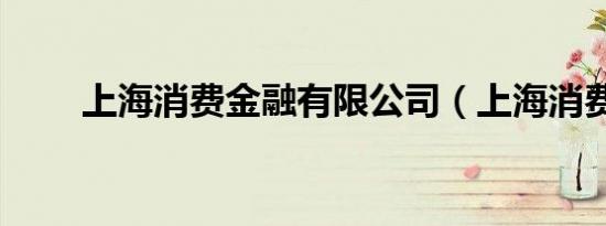 上海消费金融有限公司（上海消费）