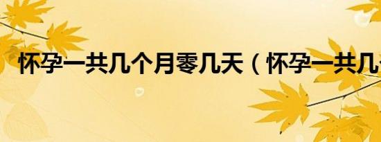 怀孕一共几个月零几天（怀孕一共几个月）