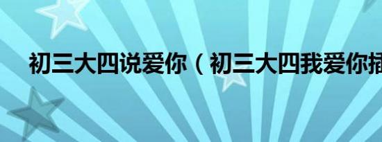 初三大四说爱你（初三大四我爱你插曲）