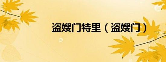 盗嫂门特里（盗嫂门）