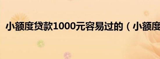 小额度贷款1000元容易过的（小额度贷款）